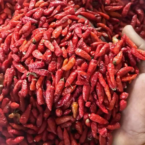 Coorg Bird Eye Chilli - Kandhari Chilli – Premium Red Bird's Eye Chilli | Parangi Malu