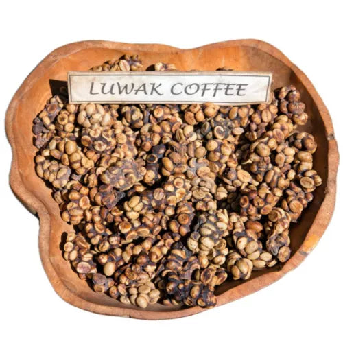Luwak Coffee Raw Beans - Civet Coffee from Coorg - Kopi Luwak Beans